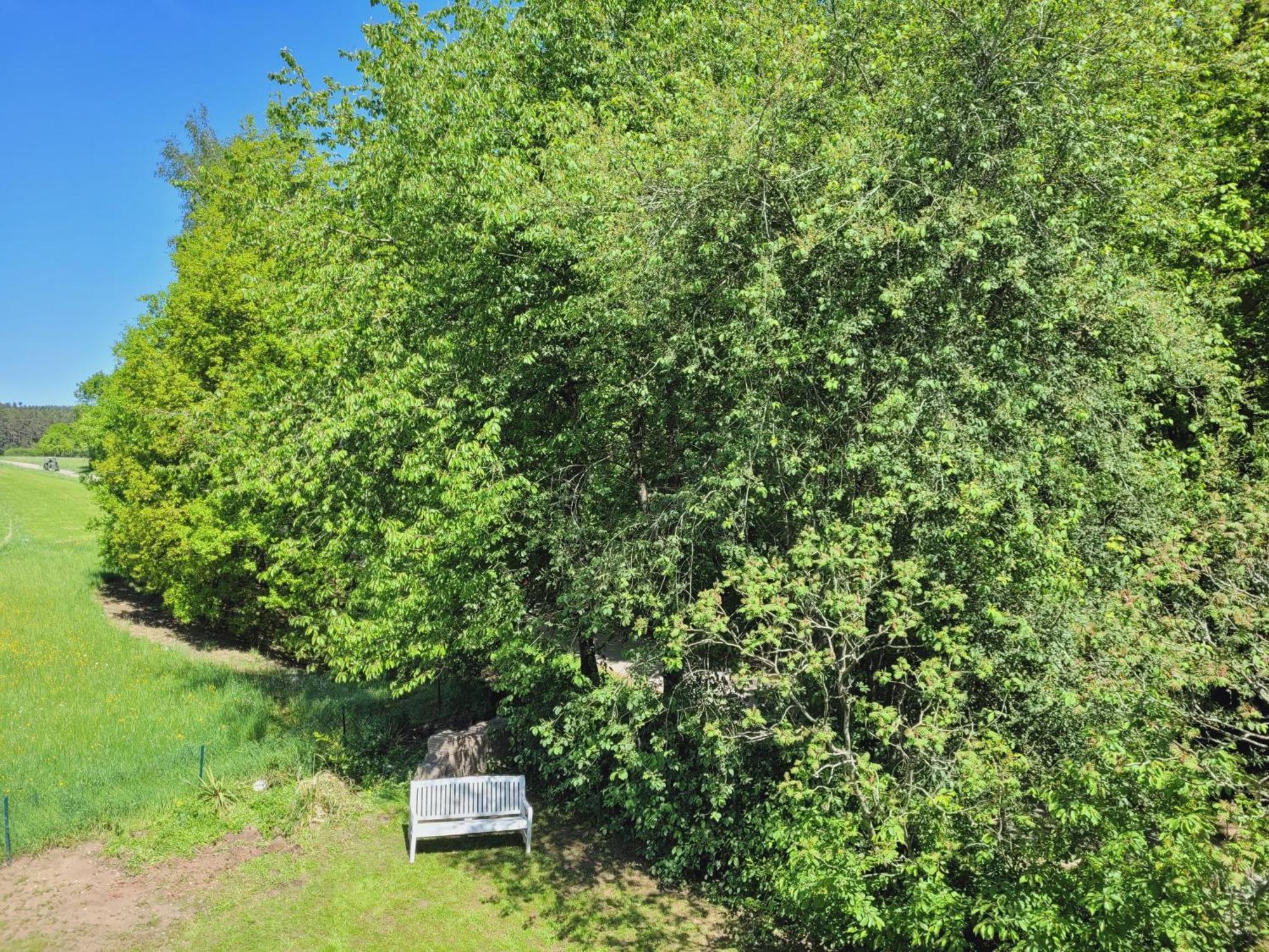 meinGästehaus im Fränkischen Seenland Haundorf Zimmer foto
